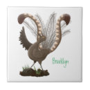 Buscar oruga azulejos General y unisex