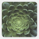 Buscar fondo natural pegatinas Vista de inicio