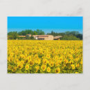 Buscar flores del campo postales Brillante