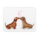 Buscar dachshunds imanes Lindo