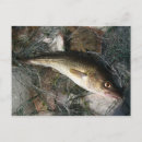 Buscar dorso postales Vacaciones