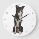 Buscar border collie arte Perro