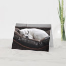 Buscar del perro del boxeador tarjetas Para todos