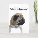 Buscar perro triste tarjetas Dulce