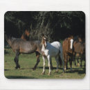 Buscar mustang alfombrillas de raton Ecuestre