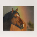 Buscar caballo salvaje puzzles Semental