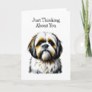 Buscar shih tzu tarjetas Contenido generativo