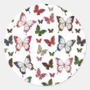 Buscar mariposas y polillas pegatinas Monarca