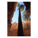 Buscar utah fotografía Rojo