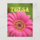 Buscar gerbera rosado postales Margarita