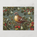 Buscar 12 días de navidad postales Perdiz