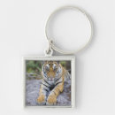 Buscar naturaleza llaveros Roca