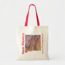 Buscar new méxico bolsos América