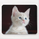 Buscar cutie alfombrillas de raton Gatito