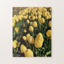 Buscar tulipanes amarillos puzzles Primavera