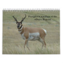 Buscar cazadores calendarios Fauna