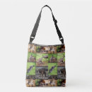 Buscar crossbody Foto