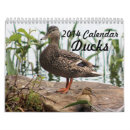 Buscar pájaros calendarios 2014