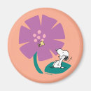 Buscar cacahuetes imanes Naturaleza