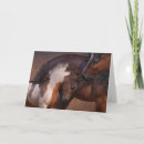 Buscar yeguas salvajes tarjetas Mustang