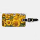 Buscar españa etiquetas para maletas Cultura