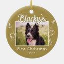 Buscar festivos adornos Para mascotas