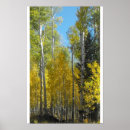 Buscar álamo posters Otoño