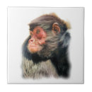 Buscar monkey azulejos General y unisex