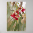 Buscar goma posters Flores