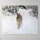 Buscar pájaros en invierno posters Pintura