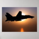 Buscar tomcat f 14 posters Combatiente