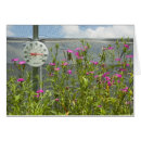 Buscar termómetro postales Caliente