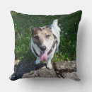 Buscar jack russell terrier cojines Aterrador