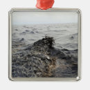 Buscar méxico adornos Agua