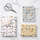 Buscar pollos papel de regalo Gallina
