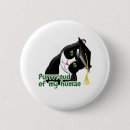 Buscar gatos negros chapas Gato blanco y negro