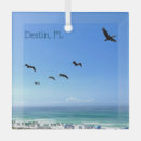 Buscar pelícanos adornos Océano