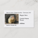 Buscar control los bichos de tarjetas de visita Roedor