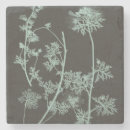 Buscar estudio posavasos Botánico