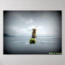 Buscar photoshop posters Perro