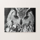 Buscar búho marrón puzzles Pico