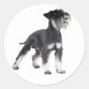 Buscar schnauzer pegatinas Cachorro