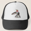 Buscar colibrí gorras Fotografía