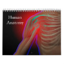 Buscar humana calendarios Esqueleto