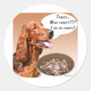 Buscar turkey pegatinas Acción de gracias