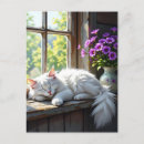 Buscar gatos blancos postales Saludo