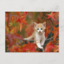 Buscar tiempo frío postales Para todos