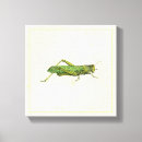 Buscar estudio arte Verde