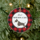 Buscar pitt Pitt bull