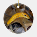 Buscar mariposa amarilla adornos Navidades